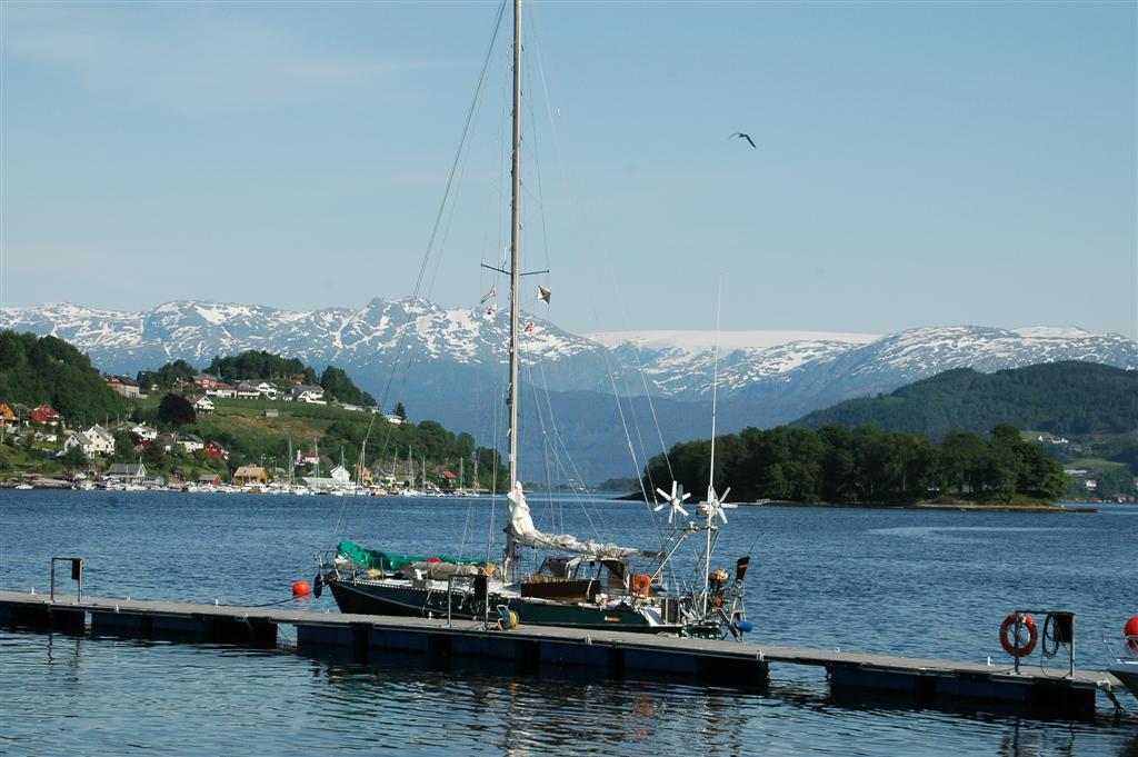 im Hardangerfjord/ Norwegen